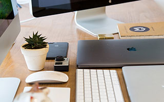 乐鱼网站：畅享在线娱乐的新纪元